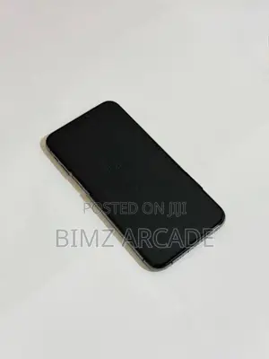 Apple iPhone XS Max 256GB (Used)