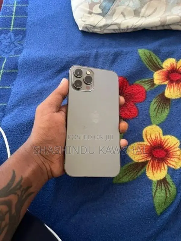 Apple iPhone 12 Pro Max (Used)