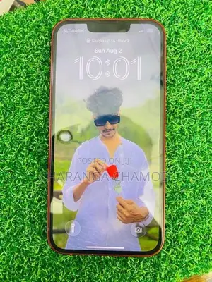 Apple iPhone 13 (Used)