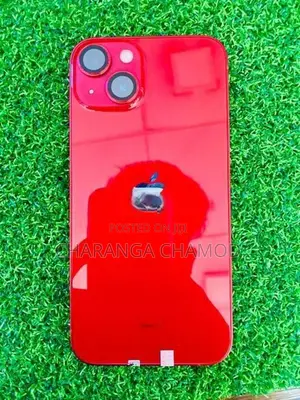 Apple iPhone 13 (Used)