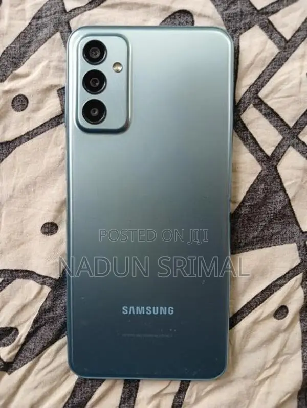 Samsung Buddy (Used)