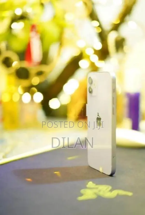 Apple iPhone 12 mini (Used)