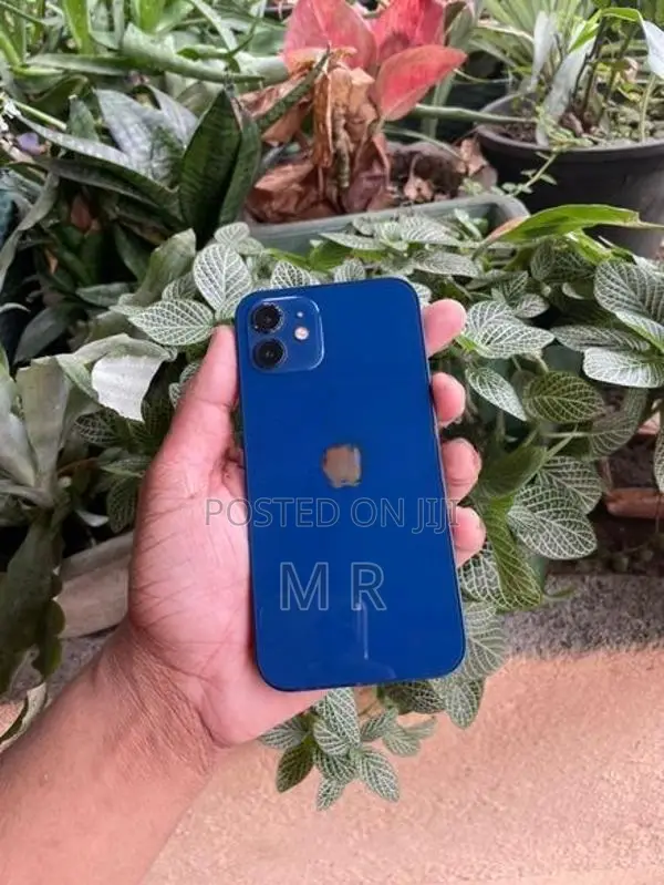 Apple iPhone 12 128GB (Used)