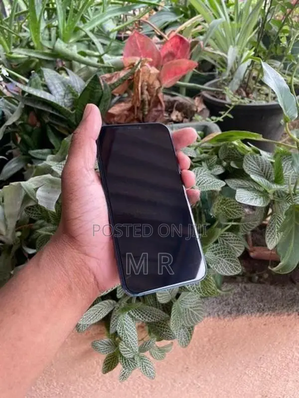 Apple iPhone 12 128GB (Used)