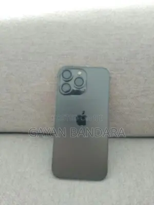 Apple iPhone 13 Pro 256GB (Used)