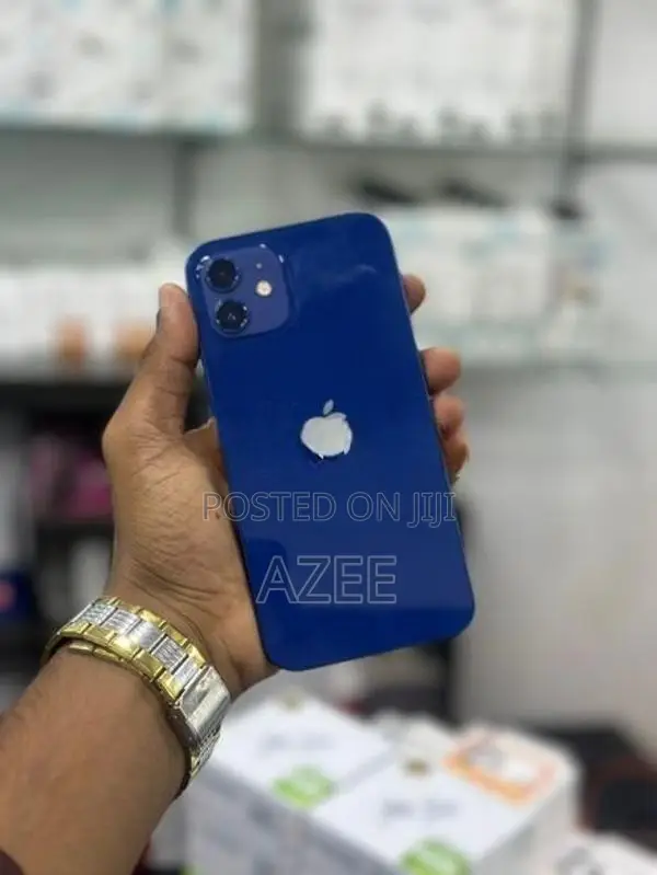 Apple iPhone 12 (Used)