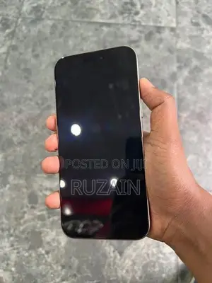 Apple iPhone 16 Pro Max (Used)