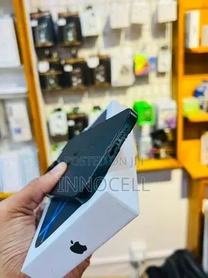 Apple iPhone 16 Pro Max 256GB (Used)