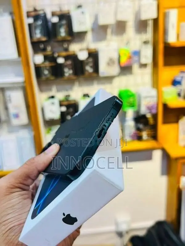 Apple iPhone 16 Pro Max 256GB (Used)