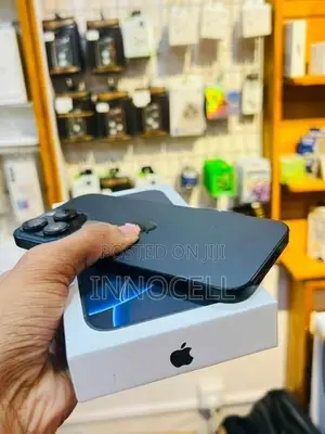 Apple iPhone 16 Pro Max 256GB (Used)