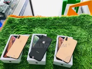 Apple iPhone XS Max 256GB Gold Fullset (Used)