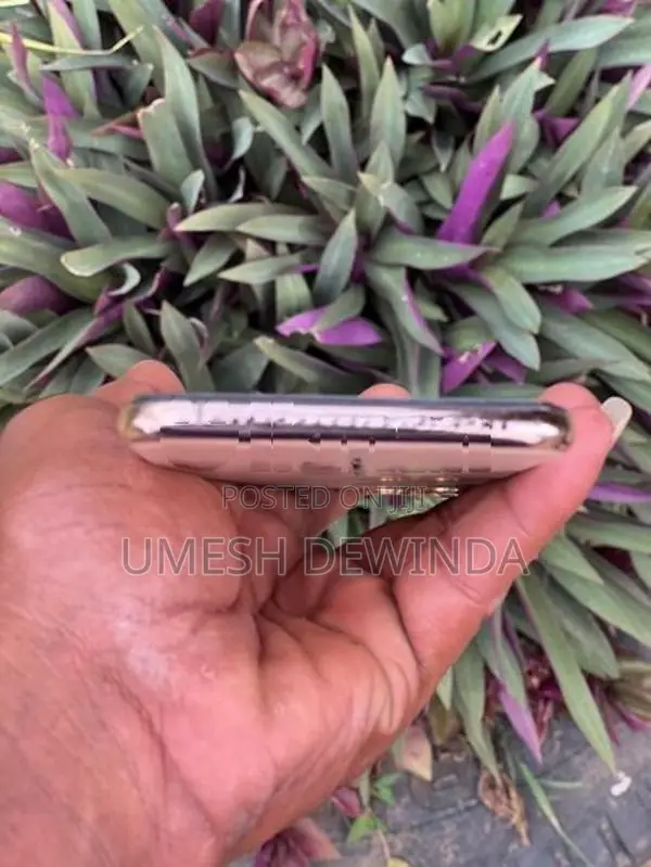 Apple iPhone 11 Pro Max (Used)