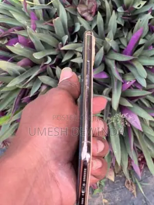 Apple iPhone 11 Pro Max (Used)