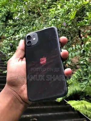 Apple iPhone 11 (Used)