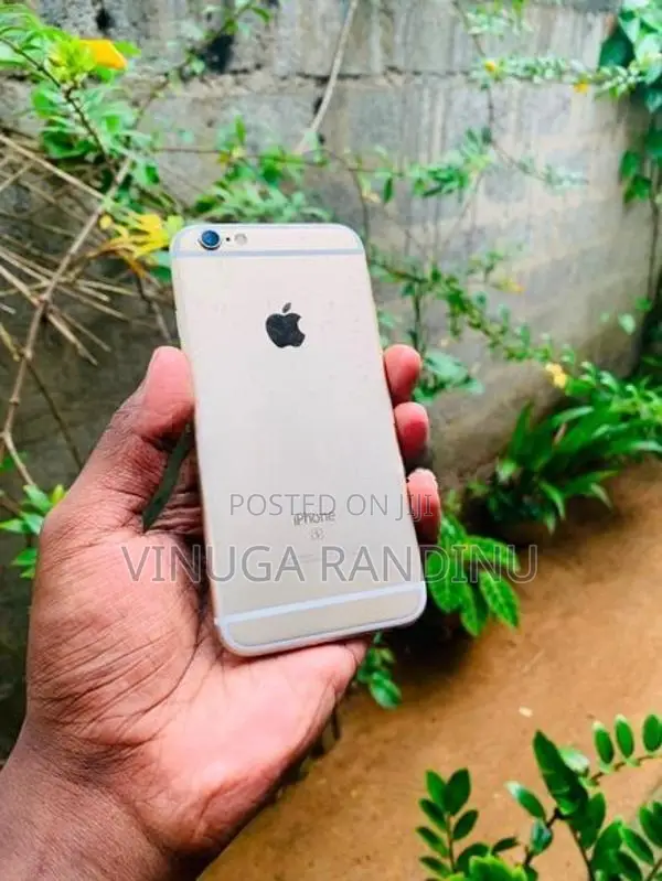 Apple iPhone 6S (Used)