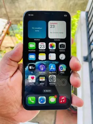 Apple iPhone X 256GB (Used)