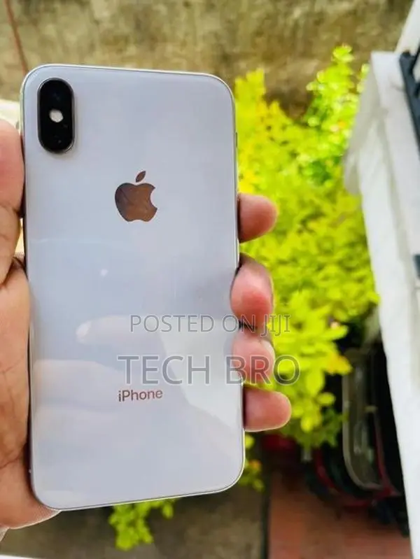 Apple iPhone X 256GB (Used)