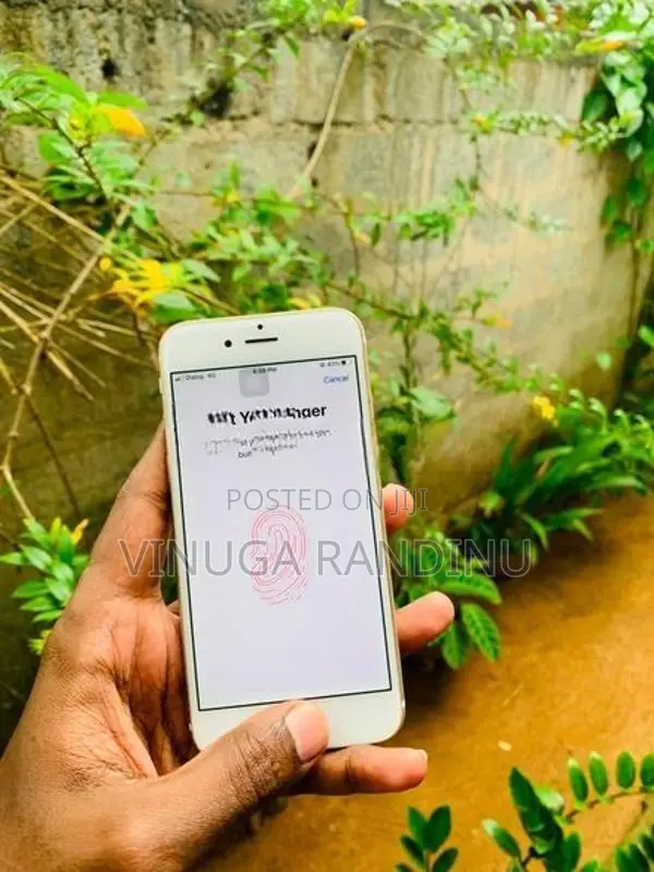 Apple iPhone 6S (Used)