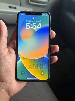 Apple iPhone X 256GB (Used)
