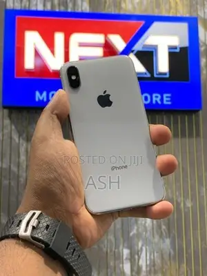 Apple iPhone X 256GB (Used)