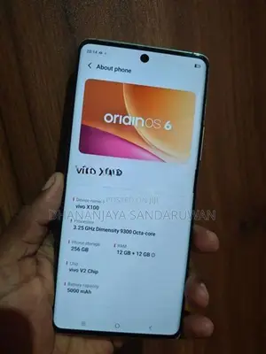 Vivo x100 12/256GB (Used)