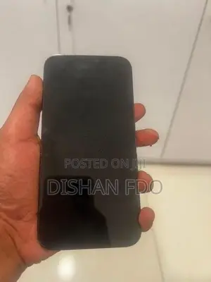 Apple iPhone 12 Pro Max (Used)