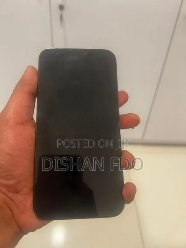 Apple iPhone 12 Pro Max (Used)