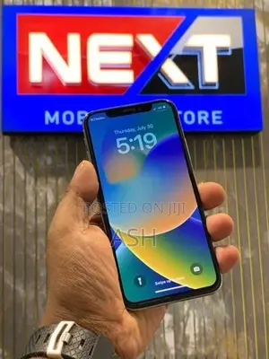 Apple iPhone X 256GB (Used)