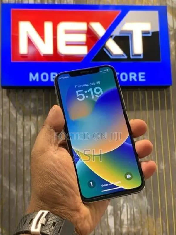 Apple iPhone X 256GB (Used)