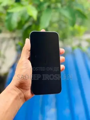 Apple iPhone 14 Pro Max 256GB (Used)