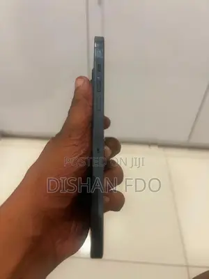 Apple iPhone 12 Pro Max (Used)