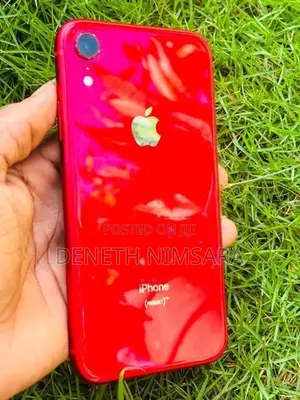 Apple iPhone XR (Used)
