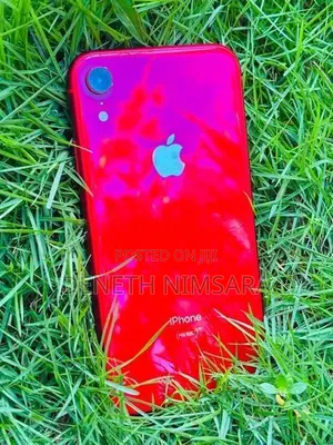 Apple iPhone XR (Used)