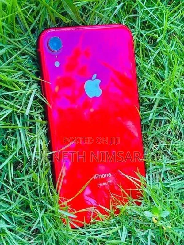 Apple iPhone XR (Used)