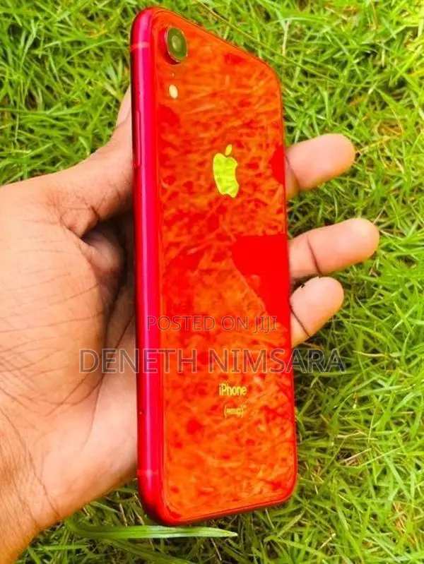 Apple iPhone XR (Used)
