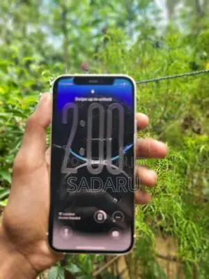 Apple iPhone 12 128GB (Used)