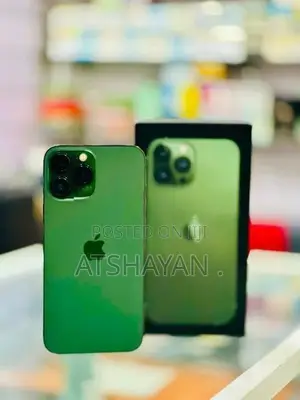 Apple iPhone 13 Pro Max (Used)