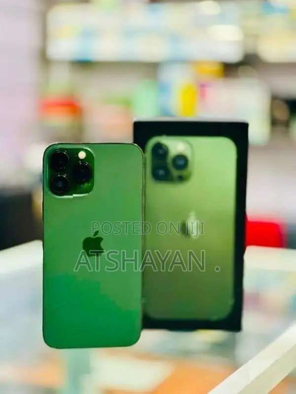 Apple iPhone 13 Pro Max (Used)