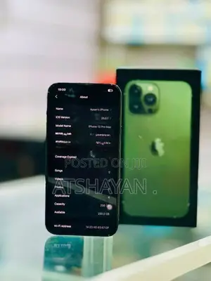 Apple iPhone 13 Pro Max (Used)