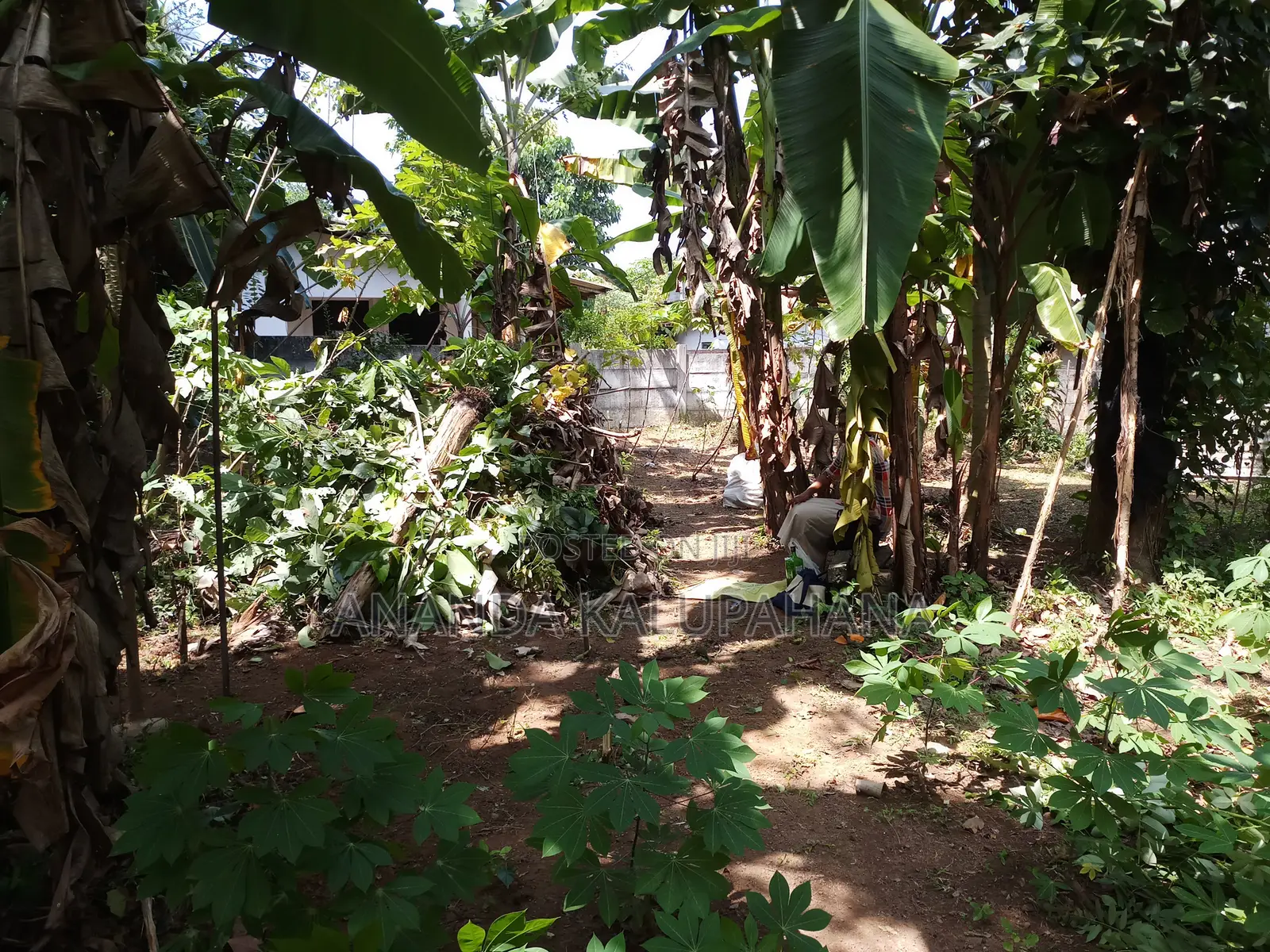 Land for Sale in Gampaha