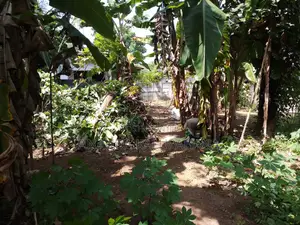 Land for Sale in Gampaha