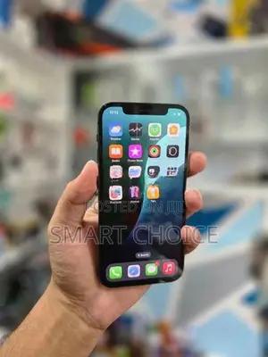 Apple iPhone 12 Pro 256GB D1 (Used)