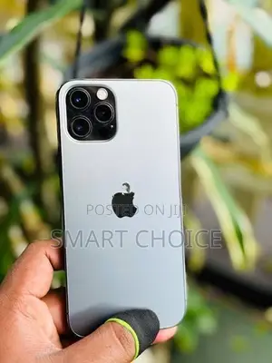 Apple iPhone 12 Pro 256GB (Used)