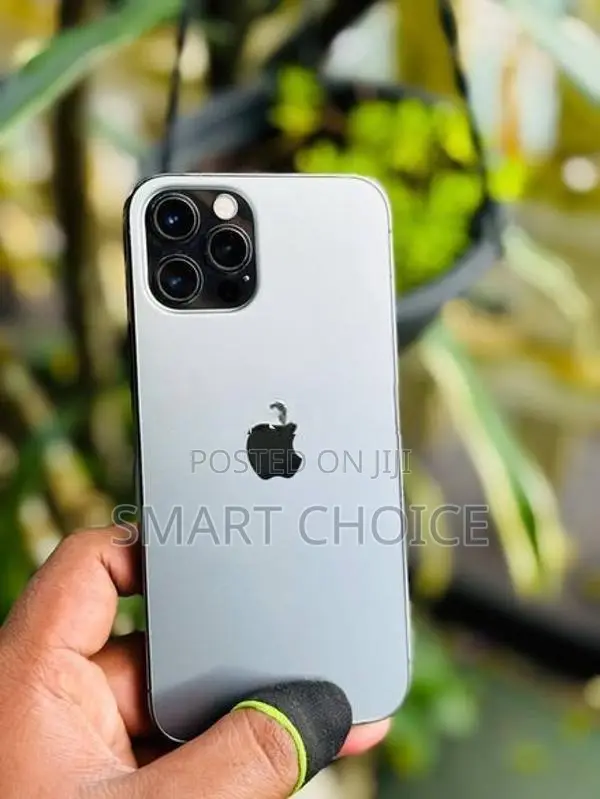 Apple iPhone 12 Pro 256GB (Used)