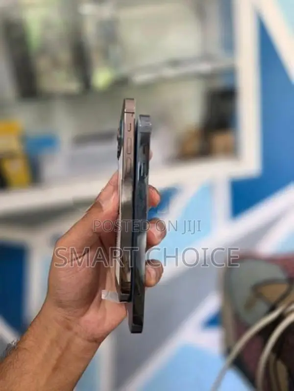 Apple iPhone 12 Pro 256GB (Used)