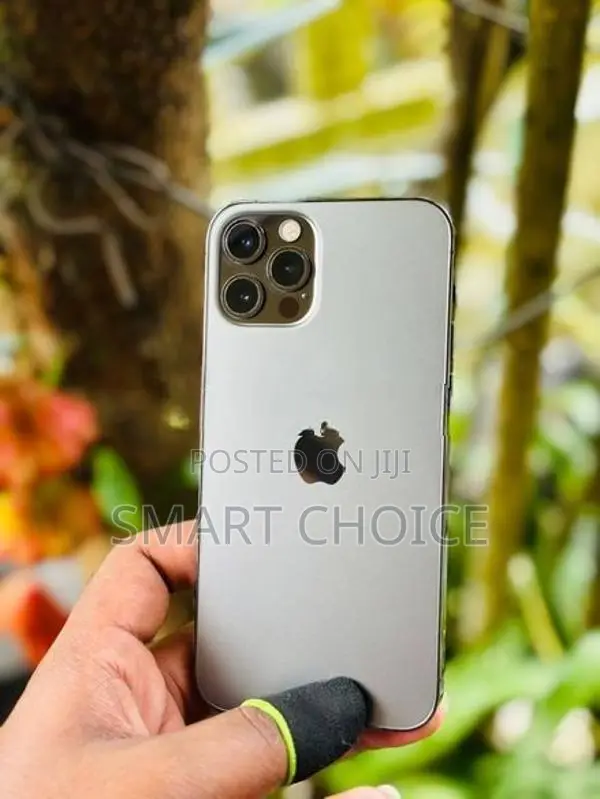 Apple iPhone 12 Pro 256GB (Used)