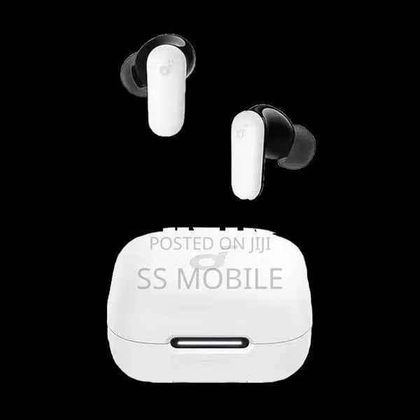 Anker Soundcore P30i NC Earpods