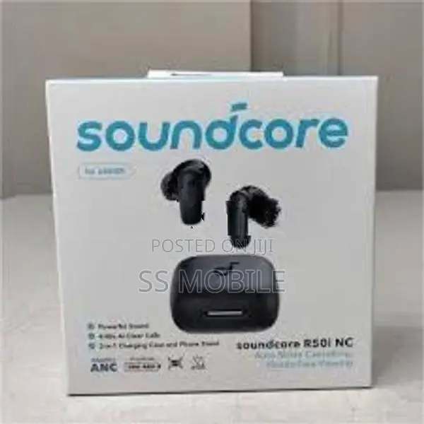 Anker Soundcore P30i NC Earpods