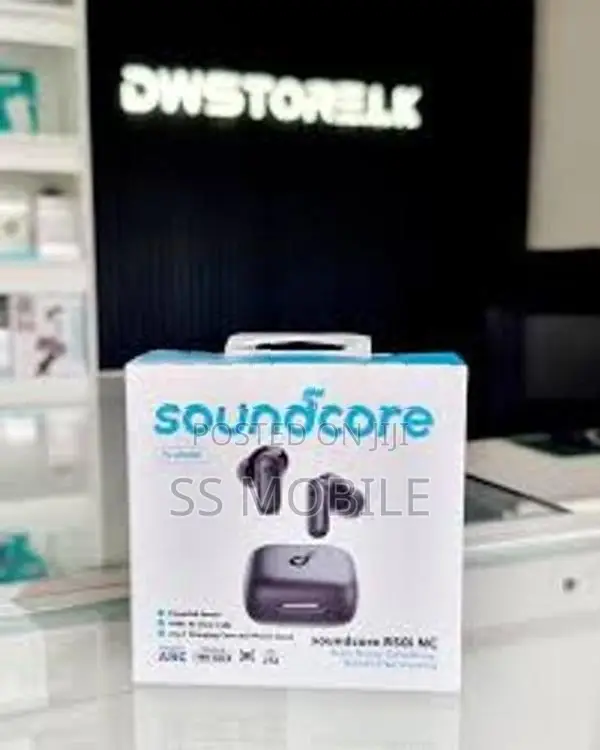 Anker Soundcore P30i NC Earpods