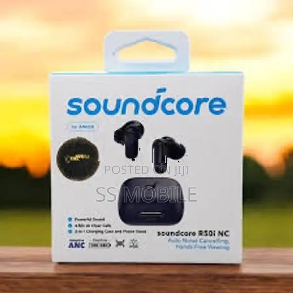 Anker Soundcore P30i NC Earpods